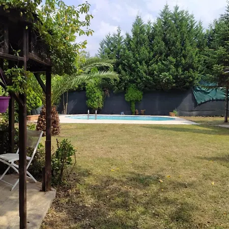 Cozy With Pool And Fireplace In
